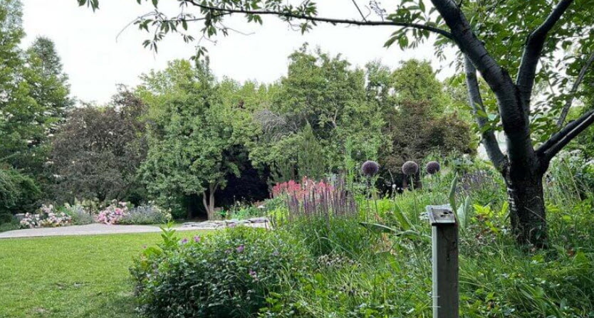 Wilbur D. May Arboretum, United States